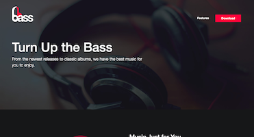 An image of Bass website project