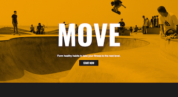 An image of Move website project